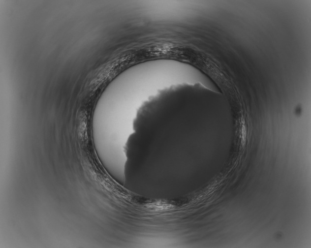 X0000116120754200912141045