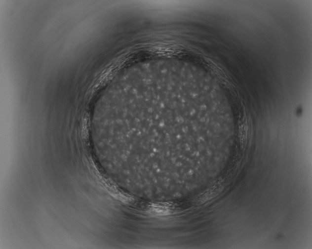 X0000116120757200912141045