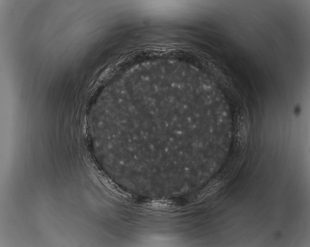 X0000116120758200912141045