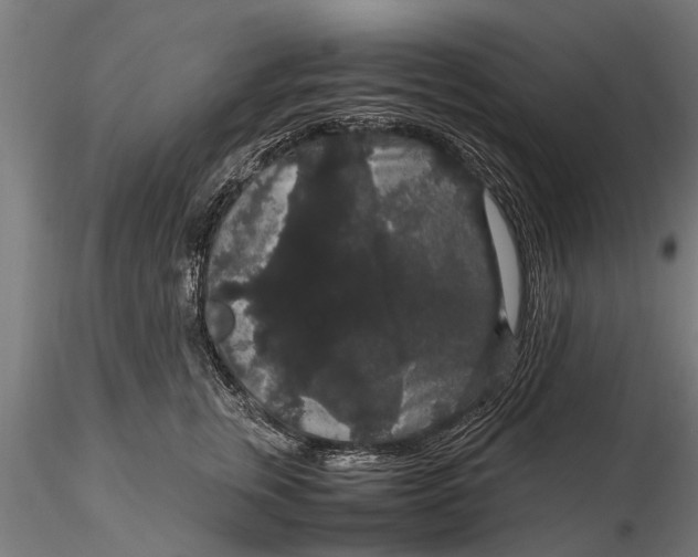 X0000116120759200912141045