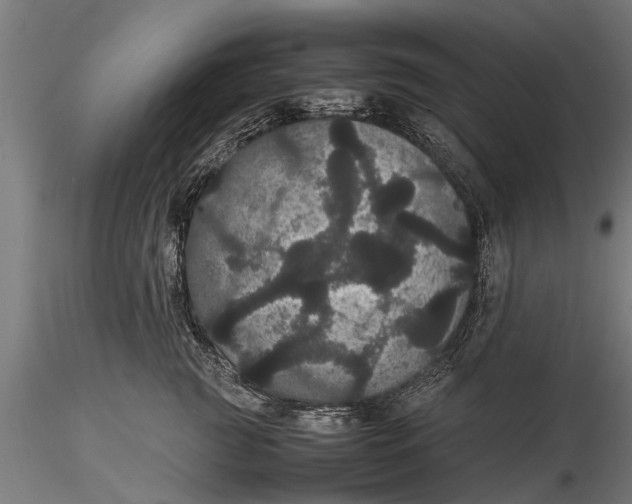 X0000116120761200912141045