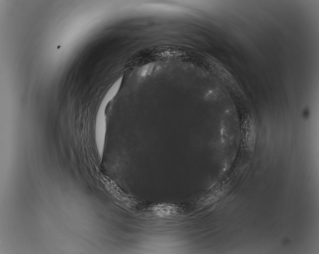 X0000116120762200912141045