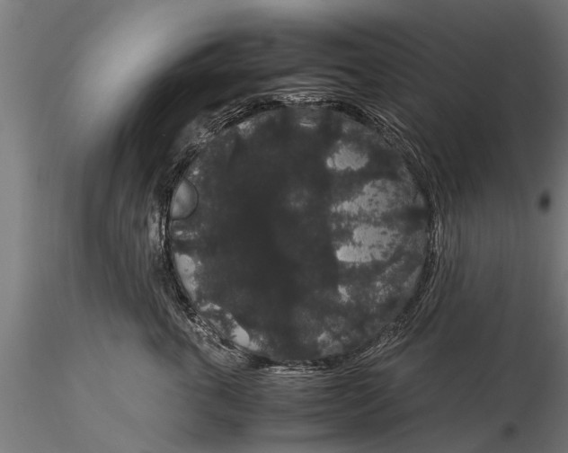 X0000116120763200912141045