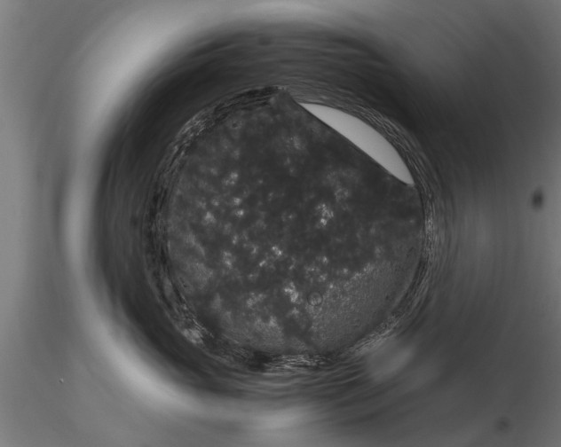 X0000116120765200912141045