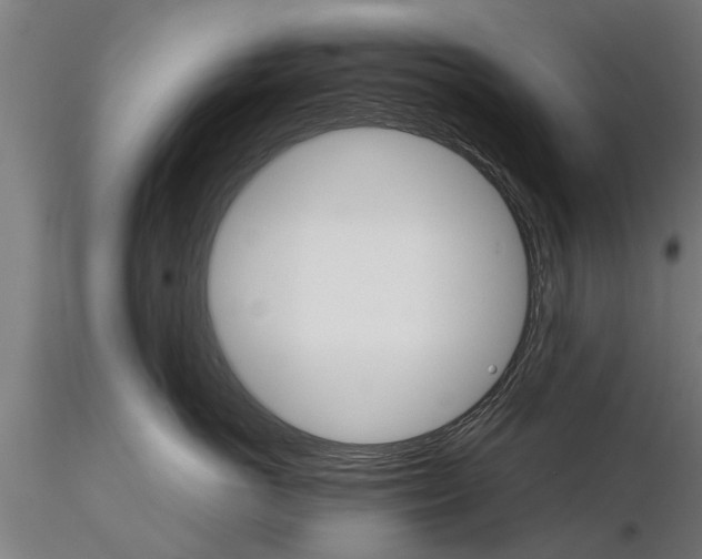 X0000116120766200912141045