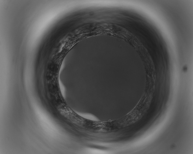 X0000116120767200912141045