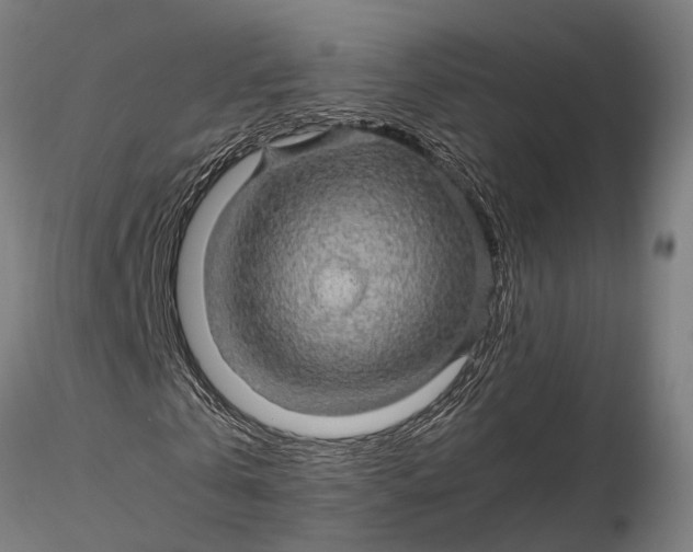 X0000116120769200912141044