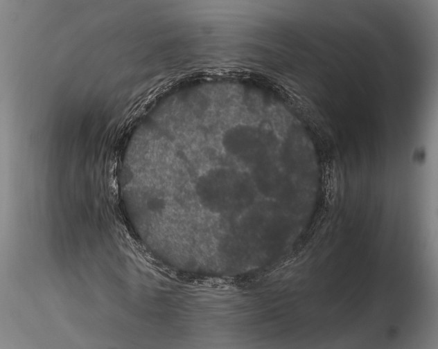 X0000116120770200912141044