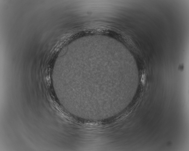 X0000116120771200912141044