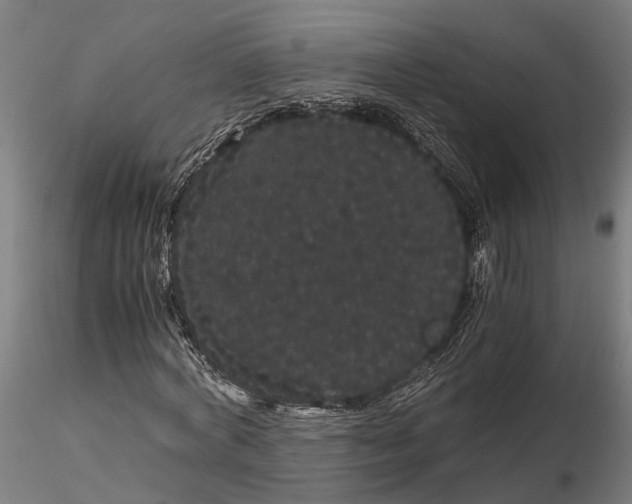 X0000116120772200912141044