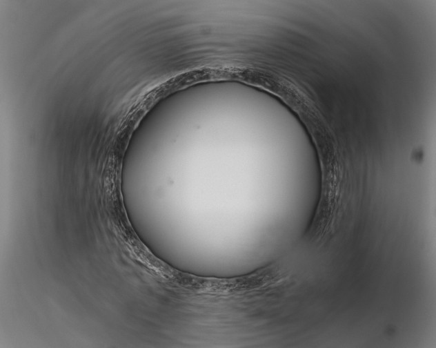 X0000116120773200912141044