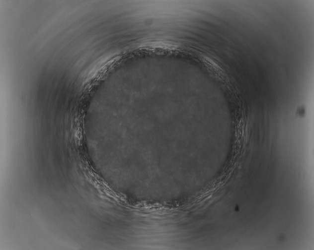 X0000116120774200912141044