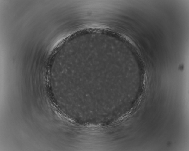 X0000116120775200912141044