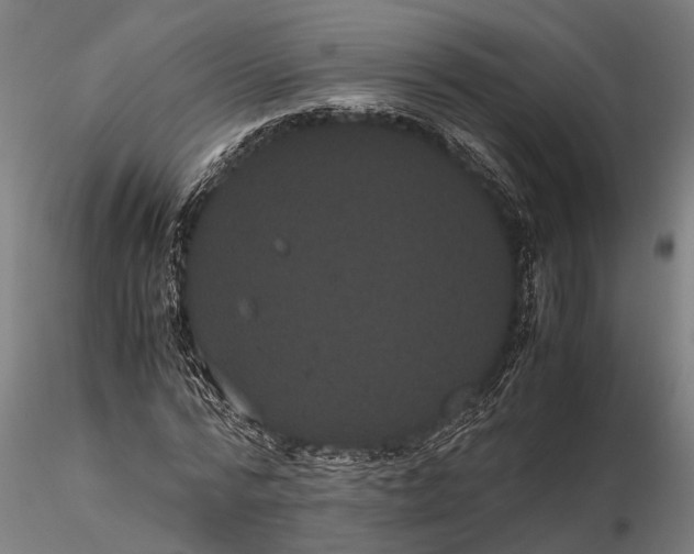 X0000116120776200912141044