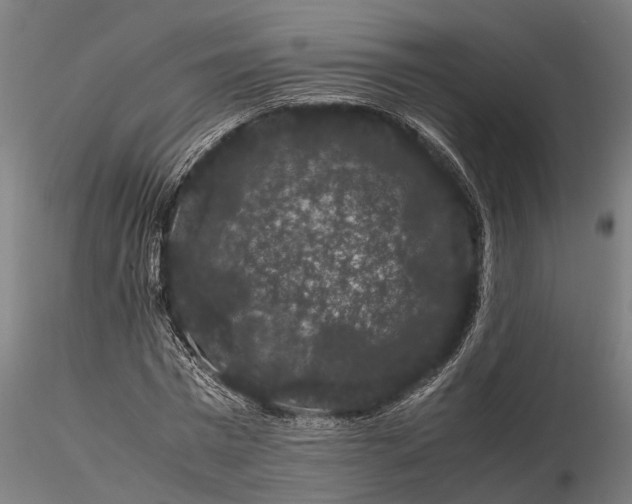 X0000116120777200912141044