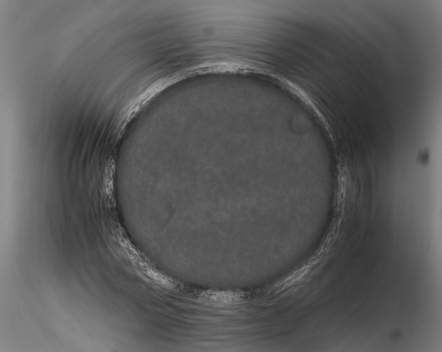 X0000116120778200912141044