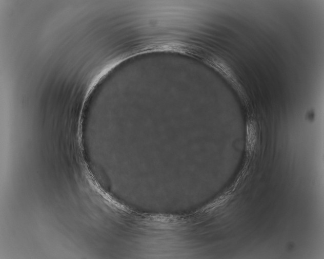 X0000116120780200912141044