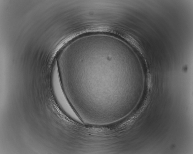 X0000116120781200912141044