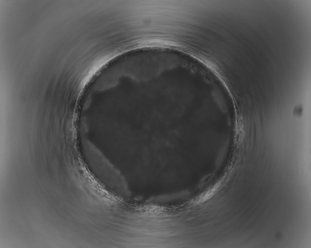 X0000116120783200912141044