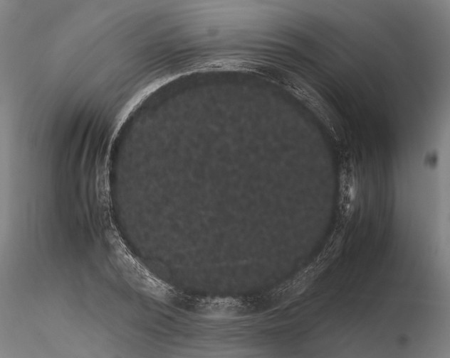 X0000116120784200912141044