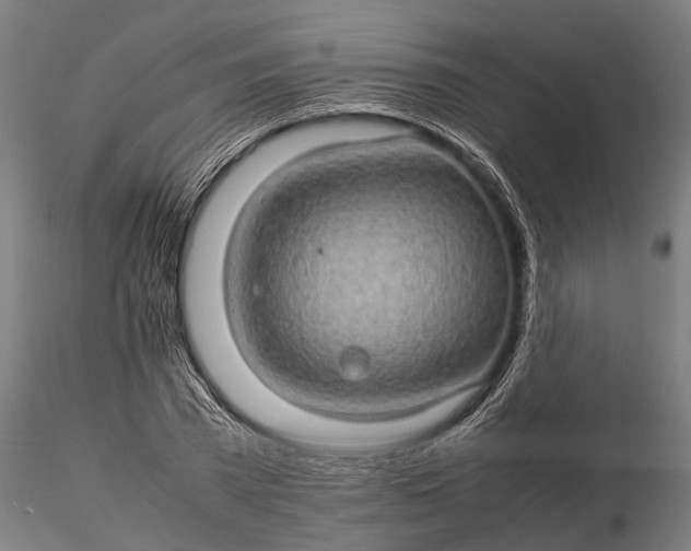 X0000116120785200912141044