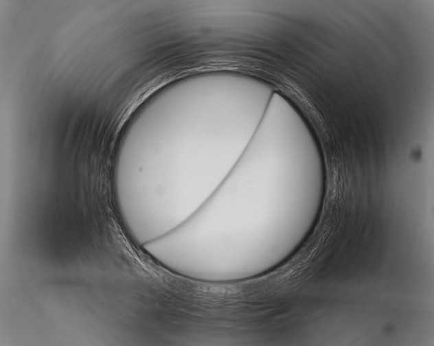 X0000116120786200912141044