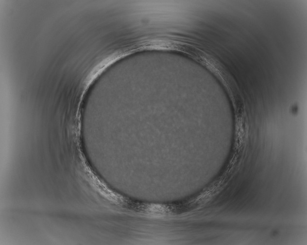 X0000116120787200912141044