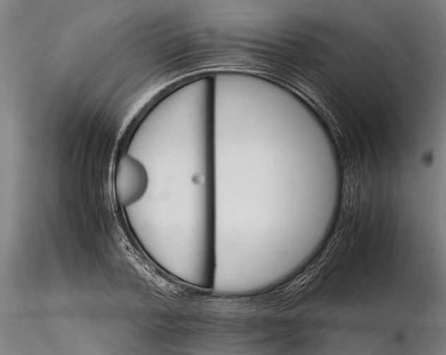 X0000116120788200912141044