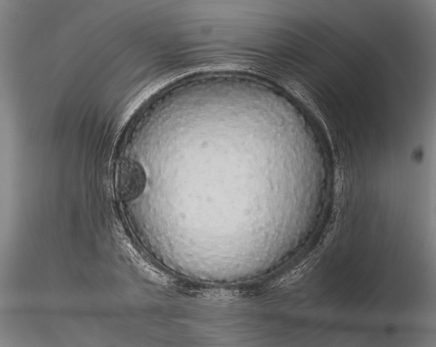 X0000116120789200912141044