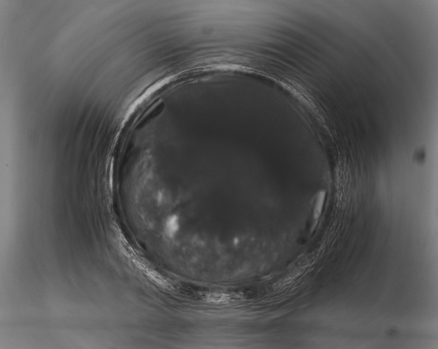 X0000116120790200912141044