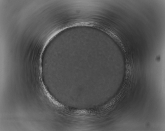 X0000116120792200912141044