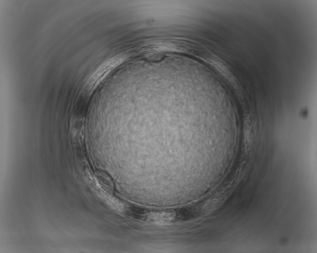 X0000116120793200912141044