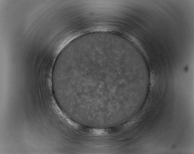 X0000116120794200912141044