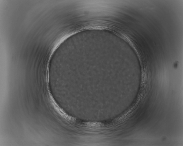 X0000116120795200912141044