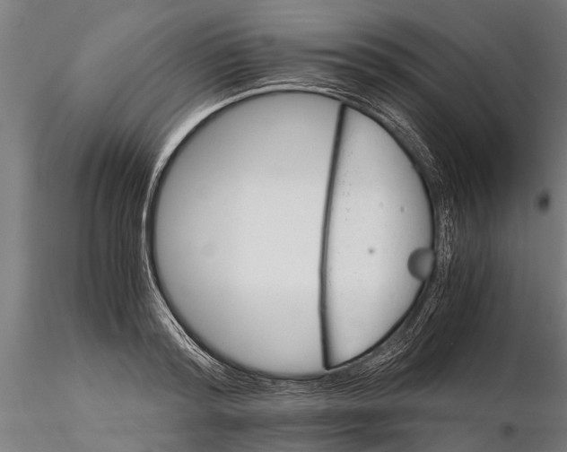 X0000116120796200912141044