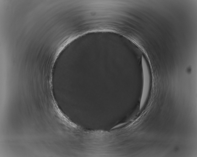 X0000116120797200912141044