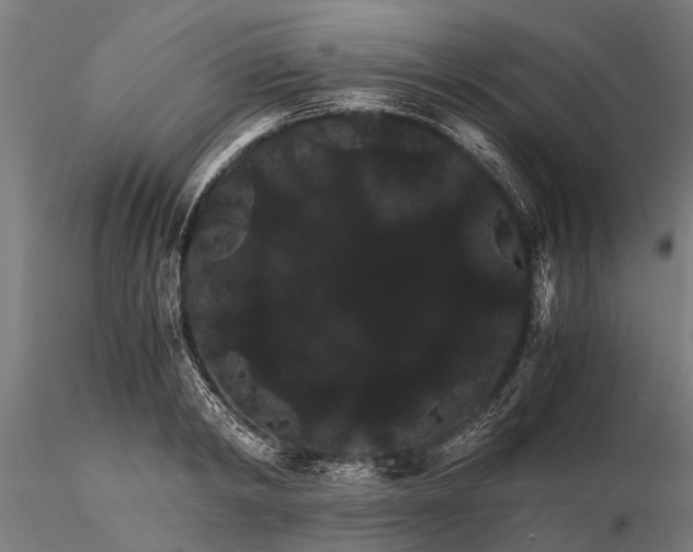 X0000116120798200912141044