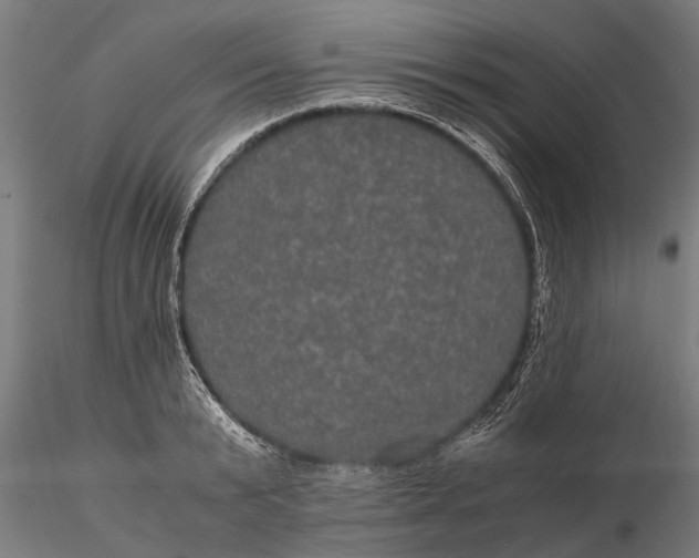 X0000116120799200912141044