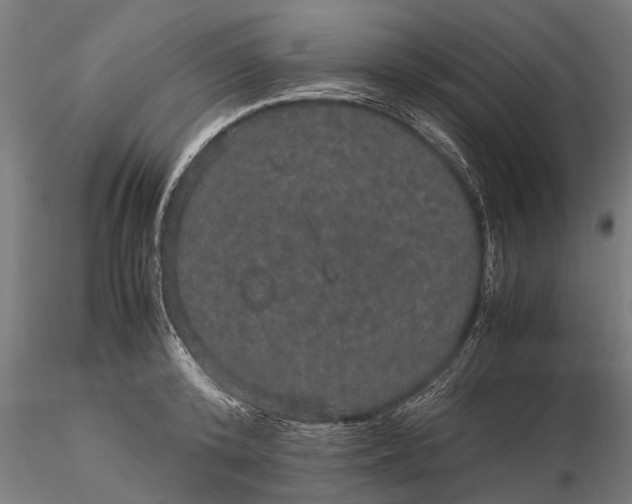 X0000116120800200912141044