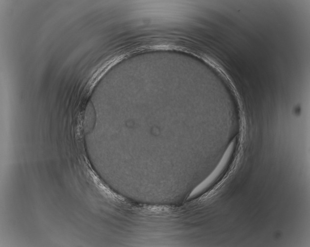 X0000116120801200912141044