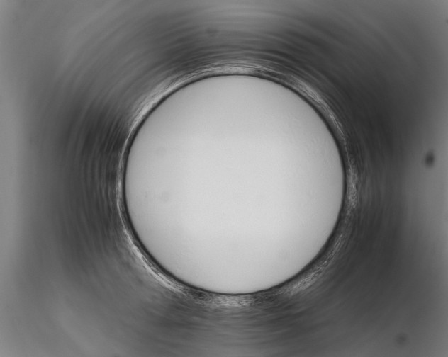 X0000116120802200912141044