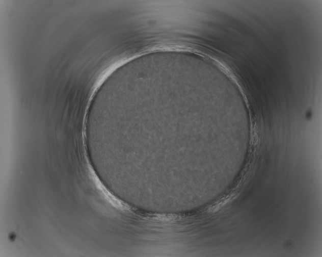 X0000116120803200912141044