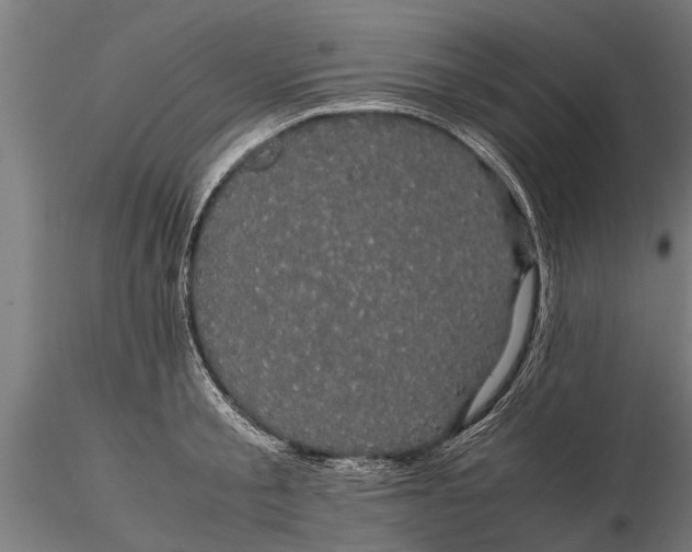 X0000116120805200912141044