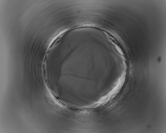 X0000116120806200912141044