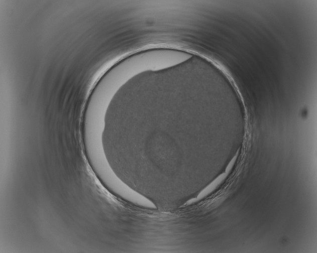 X0000116120807200912141044