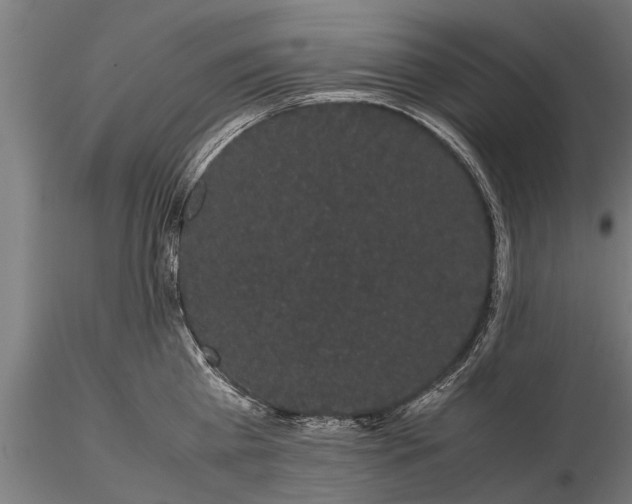 X0000116120809200912141044