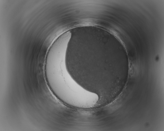 X0000116120810200912141044