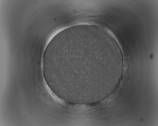 X0000116120811200912141044