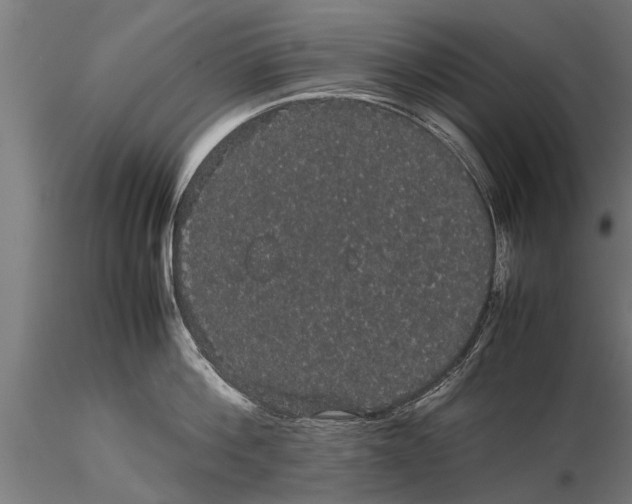 X0000116120812200912141044