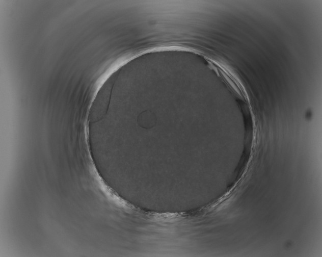 X0000116120813200912141044